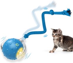 PawsPik Chirp & Chase Motion Activated Cat Ball with LED Lights, Blue