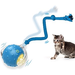 PawsPik Chirp & Chase Motion Activated Cat Ball with LED Lights, Blue
