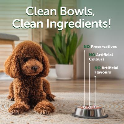 Show full view: Nature's Protection Superior Care Adult Low Calorie Tuna Wet Dog Food Topper, 2.46-oz pouch, case of 24 slide 5 of 10