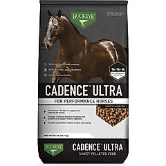 Buckeye Nutrition Cadence Ultra Horse Feed, 50-lb bag