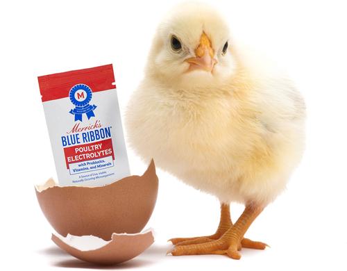 Show full view: Merrick's Blue Ribbon Poultry Electrolytes Chicken Supplement, 1.27-oz bag slide 4 of 4