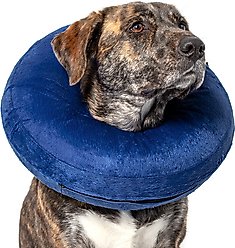 CP Basics Inflatable Dog Collar, X-Large