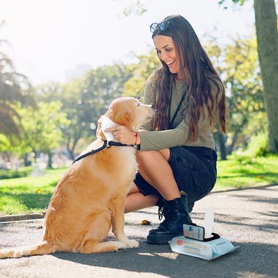 Show full view: Precious Tails Extra Gentle Dog Grooming Wipes, Coconut Scented, 110 count slide 4 of 8