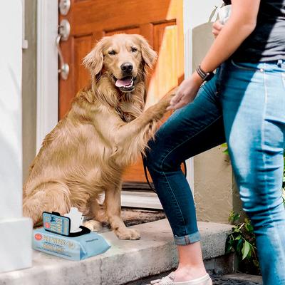 Show full view: Precious Tails Extra Gentle Dog Grooming Wipes, Coconut Scented, 110 count slide 2 of 8