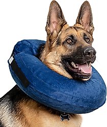 CP Basics Inflatable Dog Collar, Large