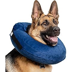 CP Basics Inflatable Dog Collar, Large