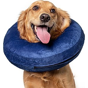 CP Basics Inflatable Dog Collar, Medium