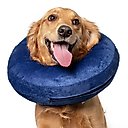 CP Basics Inflatable Dog Collar, Medium