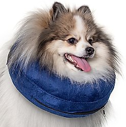 CP Basics Inflatable Dog Collar, Small