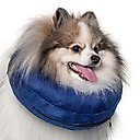 CP Basics Inflatable Dog Collar, Small