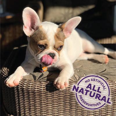 Show full view: Old Mother Hubbard by Wellness Training Bitz Assorted Mix Natural Oven-Baked Biscuits Dog Treats, 8-oz bag slide 5 of 10