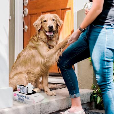 Show full view: Precious Tails Extra Gentle Dog Grooming Wipes, Unscented, 110 count slide 2 of 8