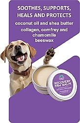 Calm Paws Recovery Healing & Calming Paw Balm, 2-oz slide 2 of 5