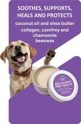 Show full view: Calm Paws Recovery Healing & Calming Paw Balm, 2-oz slide 6 of 6