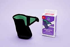 Calm Paws Recovery Dog Boot, Large