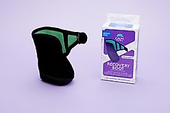 Calm Paws Recovery Dog Boot, Medium