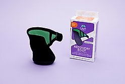 Calm Paws Recovery Dog Boot, Small