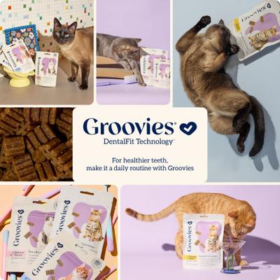 Show full view: Groovies Tuna Flavor Dental Cat Chews, 7.05-oz bag slide 8 of 10