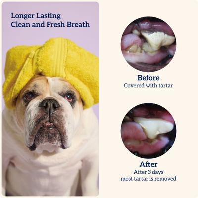 Show full view: Groovies Senior X-Large Chicken Flavor Dental Dog Chews, 4 count slide 5 of 10