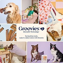 Groovies Senior Medium Chicken Flavor Dental Dog Chews, 10 count slide 2 of 7