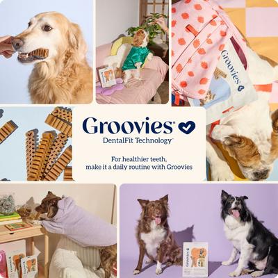 Show full view: Groovies Original Medium Chicken Flavor Dental Dog Chews, 45 count slide 8 of 10