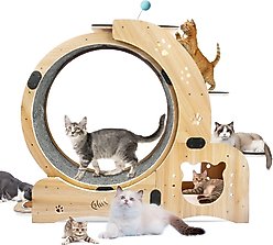 Cesicia Cat Treadmill Running Wheel, Natural Wood
