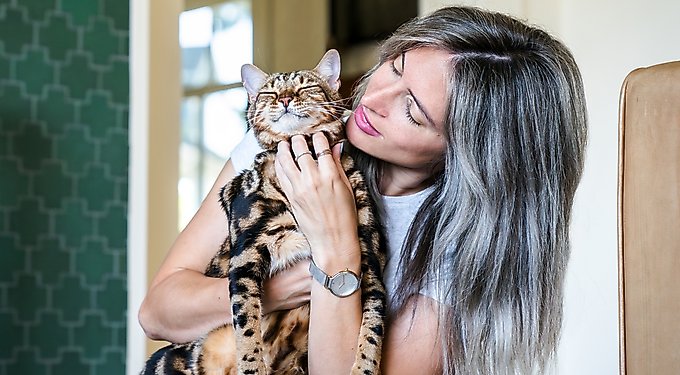 Portland Pet Food Company Pumpkin Biscuits Grain-Free & Gluten-Free Dog Treats, 5-oz bag