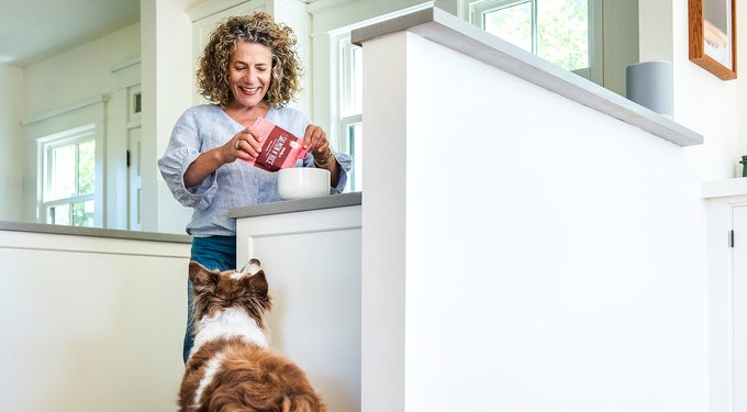 Portland Pet Food Company Pumpkin Biscuits Grain-Free & Gluten-Free Dog Treats, 5-oz bag