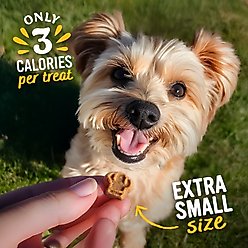 Blue Dog Bakery Perfect Trainers Beef Soft & Chewy Dog Treats, 6-oz bag slide 2 of 9