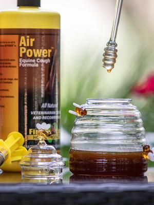 Show full view: Finish Line Air Power Cough Relief Respiratory Liquid Horse Supplement, 34-fl oz bottle slide 3 of 5