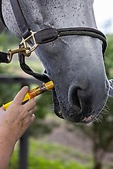 Finish Line Air Power Cough Relief Respiratory Liquid Horse Supplement, 0.5-fl oz syringe slide 2 of 3