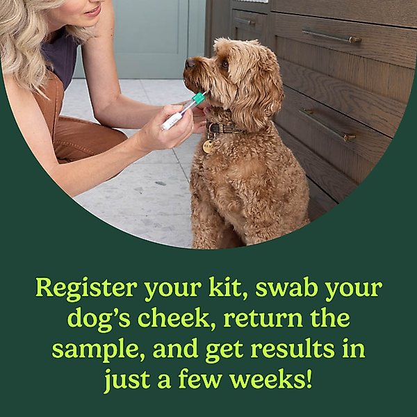 Show full view: Ancestry Breed Identification Dog DNA Test Kit slide 2 of 11