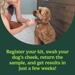 Show in main carousel: Ancestry Breed Identification Dog DNA Test Kit slide 2 of 11