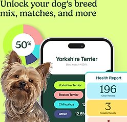 Ancestry Breed Identification Dog DNA Test Kit slide 2 of 9
