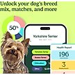 Show in main carousel: Ancestry Breed Identification Dog DNA Test Kit slide 3 of 11