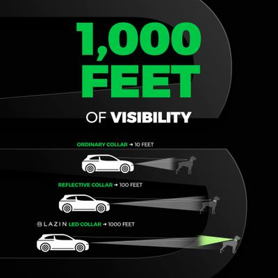 Blazin LED USB Rechargeable Nylon Dog Collar