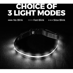 Blazin LED USB Rechargeable Nylon Dog Collar, Light Blue, Medium