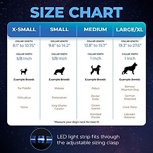 Blazin LED USB Rechargeable Nylon Dog Collar, Light Blue, Medium