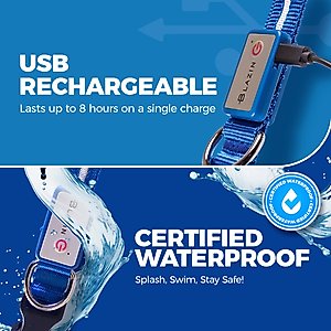 Blazin LED USB Rechargeable Nylon Dog Collar, Light Blue, Medium