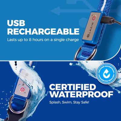 Show full view: Blazin LED USB Rechargeable Nylon Dog Collar, Light Blue, Small slide 6 of 11