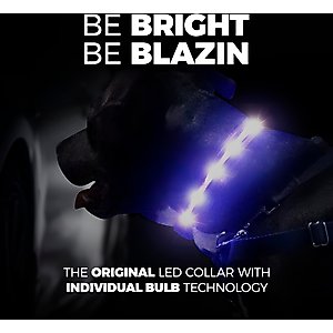 Blazin LED USB Rechargeable Nylon Dog Collar, Light Blue, Medium