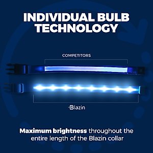 Blazin LED USB Rechargeable Nylon Dog Collar, Light Blue, Medium