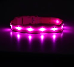 Blazin LED USB Rechargeable Nylon Dog Collar, Pink, Small