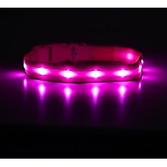 Blazin LED USB Rechargeable Nylon Dog Collar, Pink, Medium