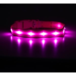 Blazin LED USB Rechargeable Nylon Dog Collar, Pink, Medium