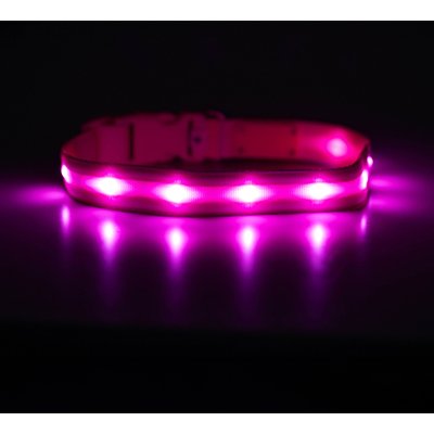 Blazin Blazin LED USB Rechargeable Nylon Dog Collar, Pink, Medium