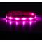 Show in main carousel: Blazin LED USB Rechargeable Nylon Dog Collar, Pink, X-Small slide 1 of 11