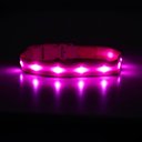 Blazin LED USB Rechargeable Nylon Dog Collar, Pink, Medium