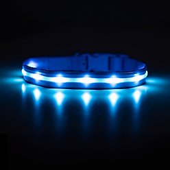 Blazin LED USB Rechargeable Nylon Dog Collar, Light Blue, Medium