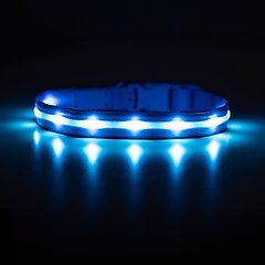 Blazin LED USB Rechargeable Nylon Dog Collar, Light Blue, X-Small